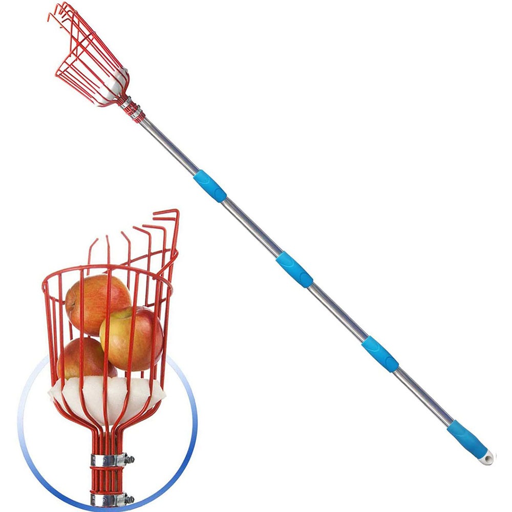 260cm Fruit Picker, Adjustable - Cycling Zones ulasan dan harga